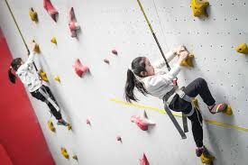 罗林斯24+7成雄鹿主攻手，个人连续三场得分20+